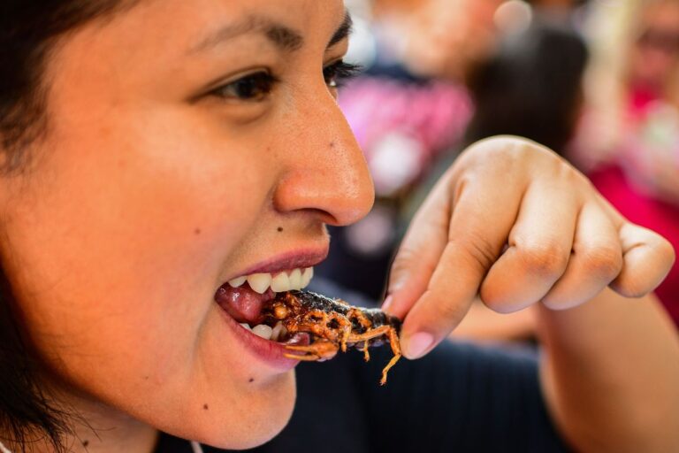 Edible Insects Market Trends 2023 | Growth, Share, Size and Report 2028