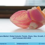 Artificial Organs Market 2023 | Size, Share, Demand, Analysis And Forecast 2028
