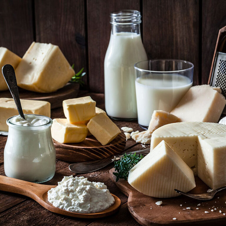 Dairy Protein Market Share 2023-2028, Size, Industry Analysis, Trends and Forecast