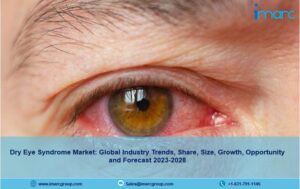 Dry Eye Syndrome Market 2023 | Size, Share, Demand, Trends And Forecast 2028