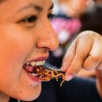 Edible Insects Market Trends 2023 | Growth, Share, Size and Report 2028