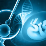 In Vitro Fertilization Services Market Size, Share, Growth, and Key Drivers Analysis Research Report by 2030