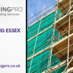 Role of Scaffolding and Scaffolders in Essex
