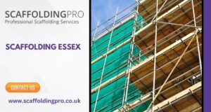 Role of Scaffolding and Scaffolders in Essex