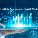 Demystifying Data Science : Exploring its Definition and Mechanisms