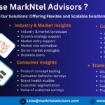 Egypt Baby Food Market Size, Growth Analysis, Top Brands, Report 2022-2027
